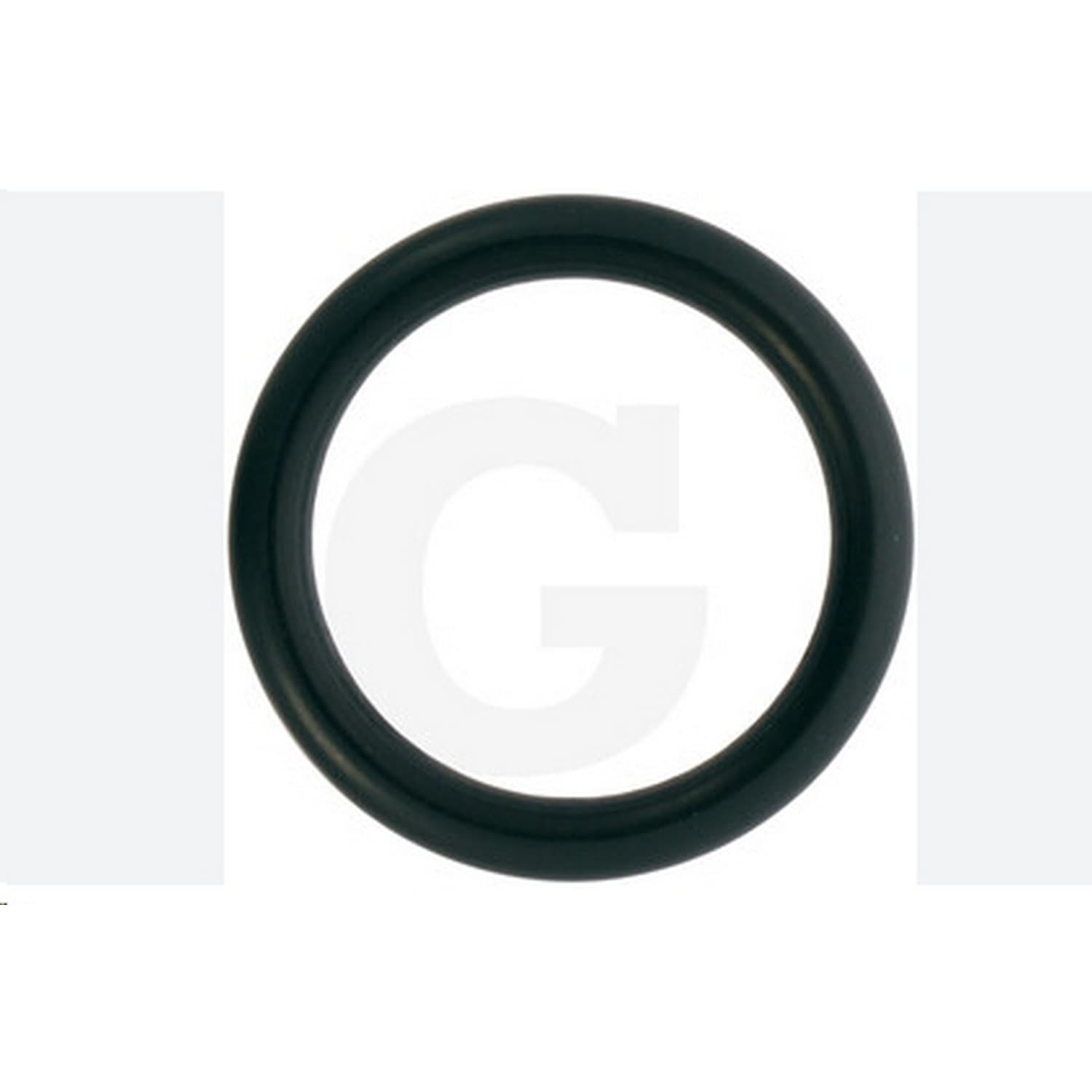 Oring 3,1/,05