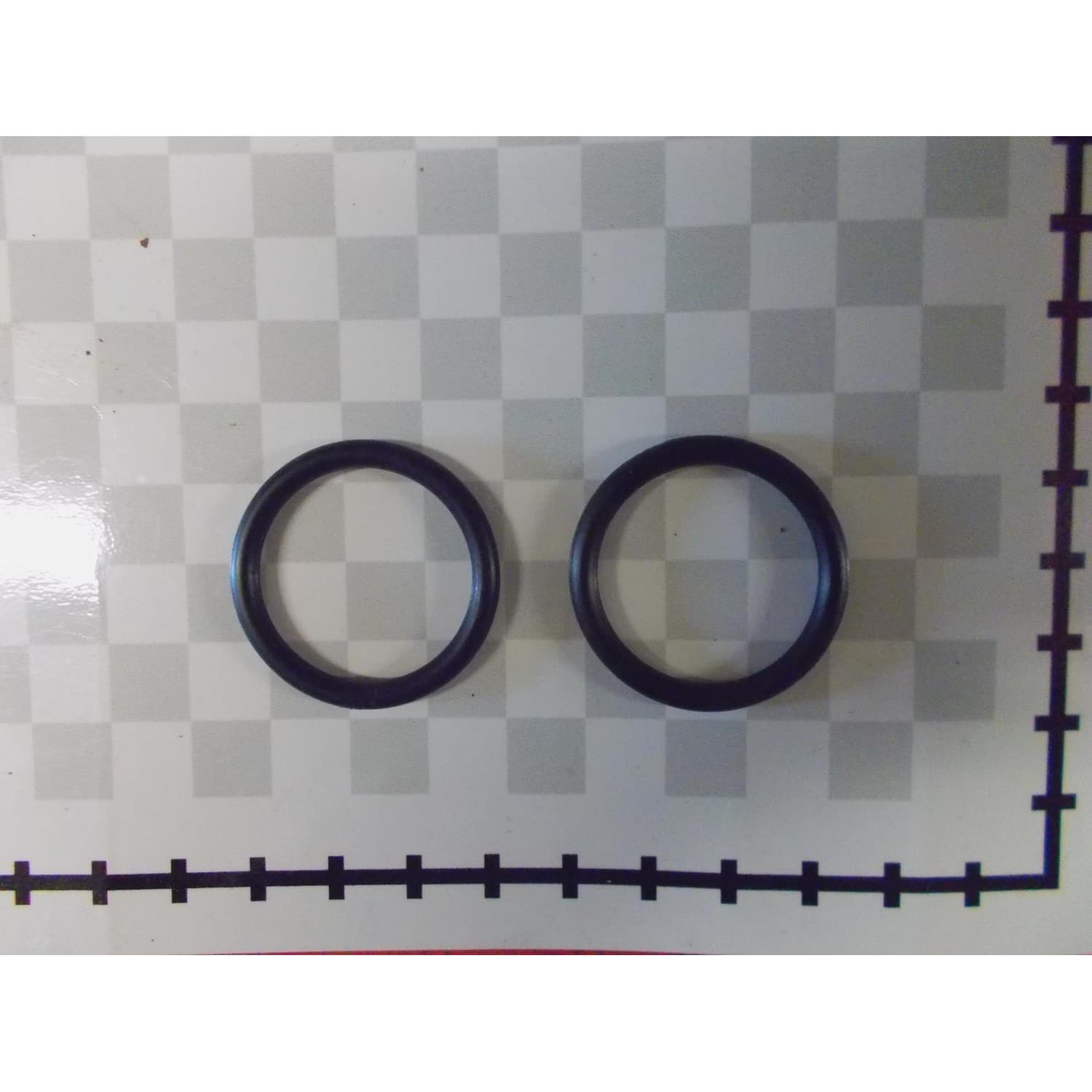 Oring do 5 m